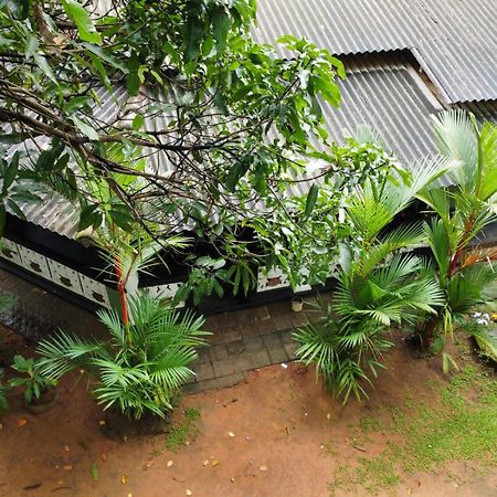 Green Bamboo House Sigiriya Exteriör bild