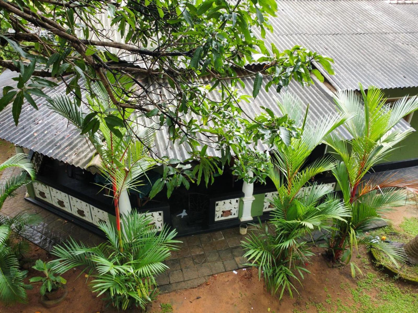 Green Bamboo House Sigiriya Exteriör bild