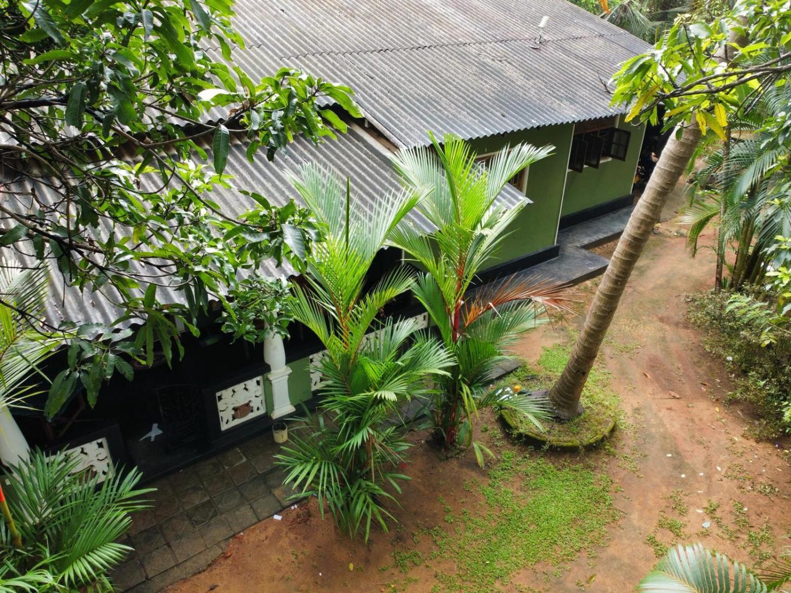 Green Bamboo House Sigiriya Exteriör bild