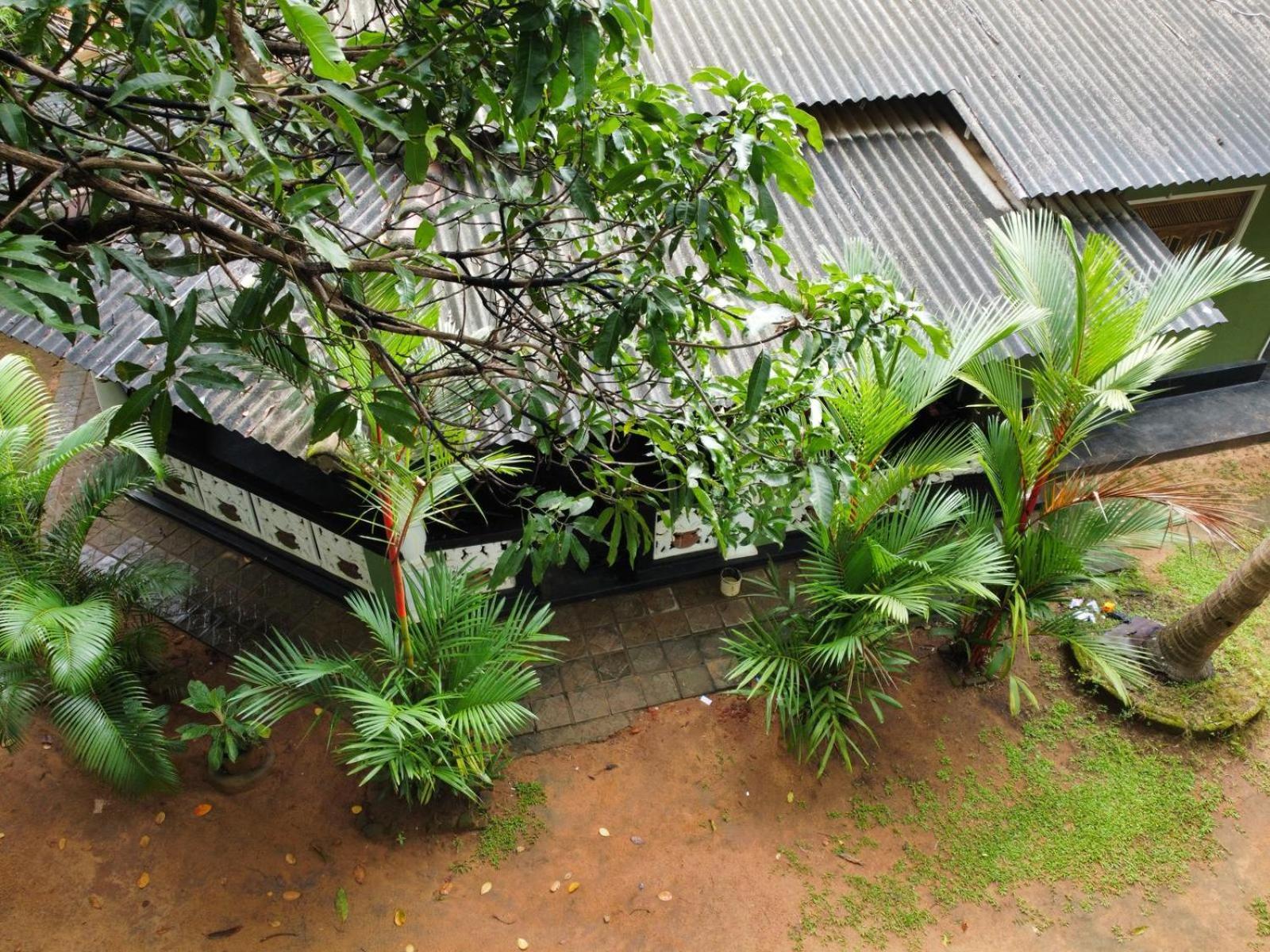 Green Bamboo House Sigiriya Exteriör bild
